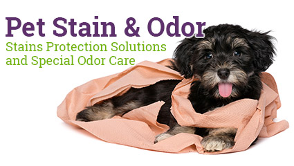 Pet Stains Removal