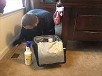 Carpet Stain Removal