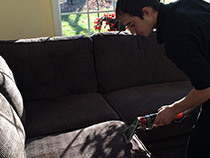 Upholstery Cleaning